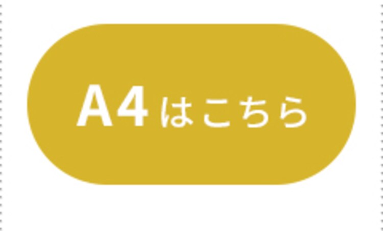 A4 100&mu;m
