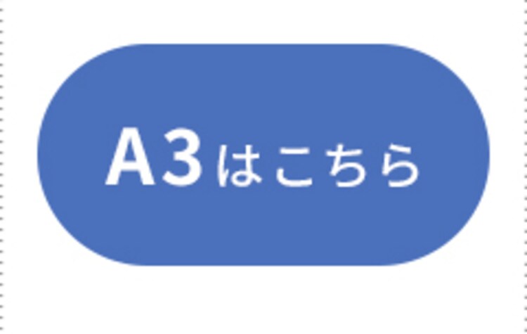 A3 100&mu;m