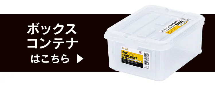 バックルコンテナ BL-13P クリア13