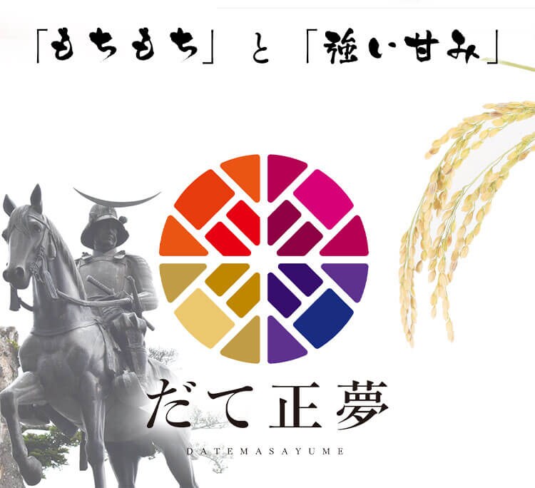 【48食】 パックご飯 だて正夢 150g 3食&times;16 宮城県産 国産米100％ 低温製法米のおいしいごはん1
