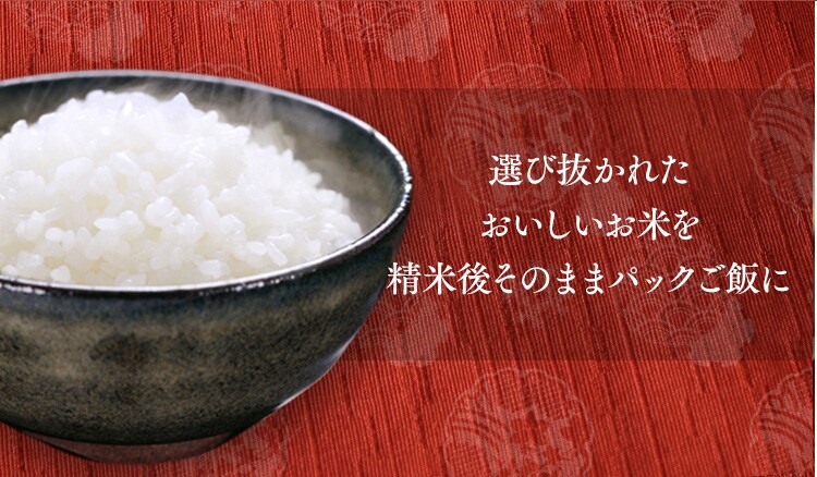 【48食】 パックご飯 だて正夢 150g 3食&times;16 宮城県産 国産米100％ 低温製法米のおいしいごはん5