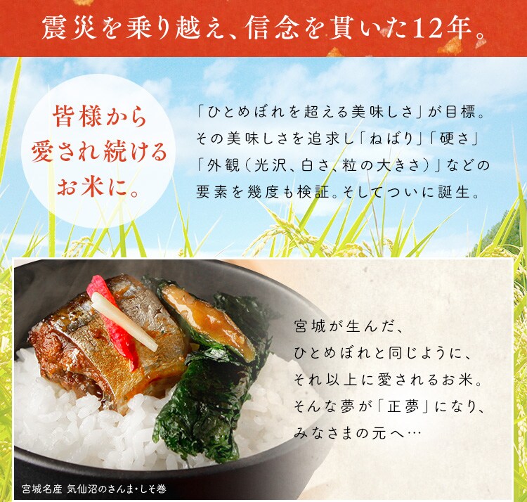 【48食】 パックご飯 だて正夢 150g 3食&times;16 宮城県産 国産米100％ 低温製法米のおいしいごはん3