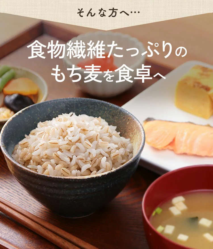 もち麦 パックごはん 150g 国産米100％ 低温製法米のおいしいごはん2