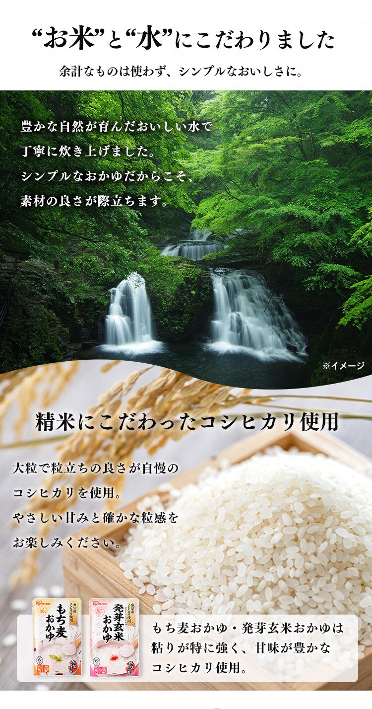 【10袋】 野菜入りおかゆ 250ｇ2