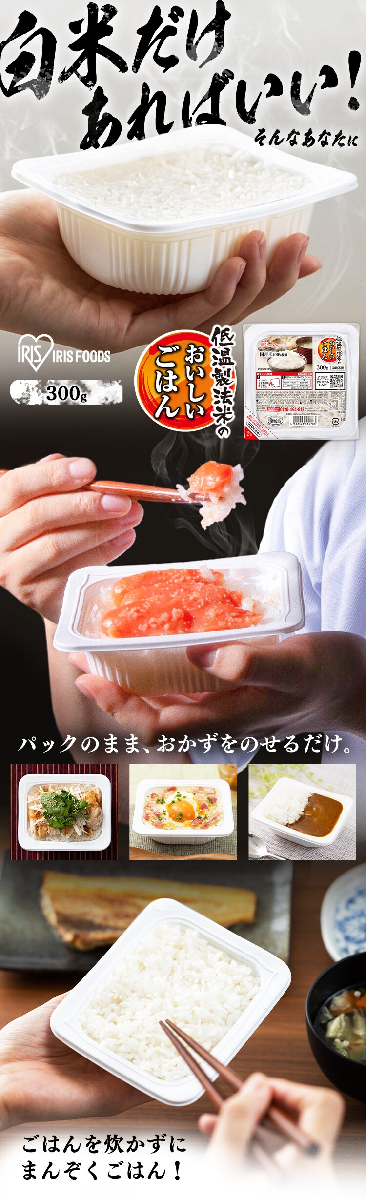 低温製法米のパックごはん 特盛 300g×48パック 1927168 │アイリス
