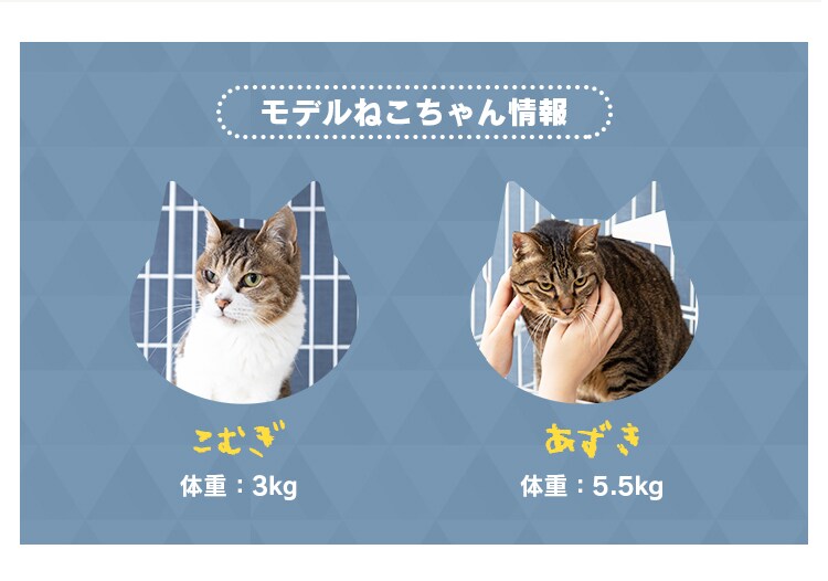 【訳あり】プラケージ 2段 ベージュ 猫用 9
