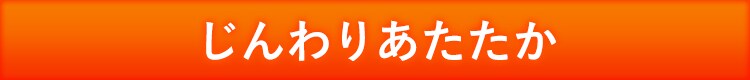 電気ストーブ 遠赤外線 首振り 2段階調節 IESB-S800 ホワイト11