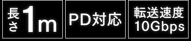 【メール便】【2個セット】USB-C to USB-Cケーブル 1m(GEN2) ICCC-B10-B ブラック【代引き不可】1