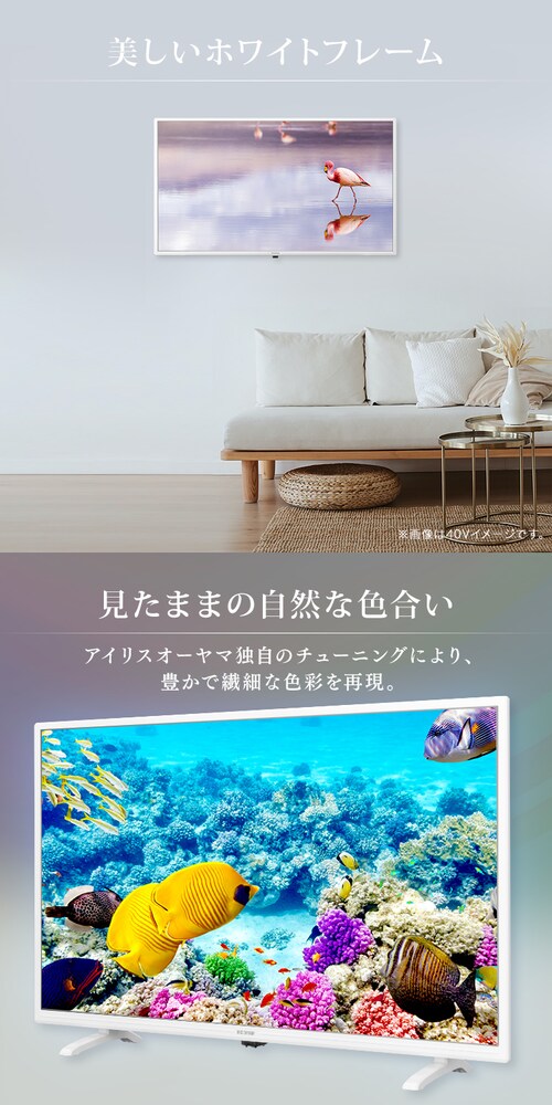 ≪終売品在庫限り≫液晶テレビ 32インチ LT-32C320 全2色 H517249F 