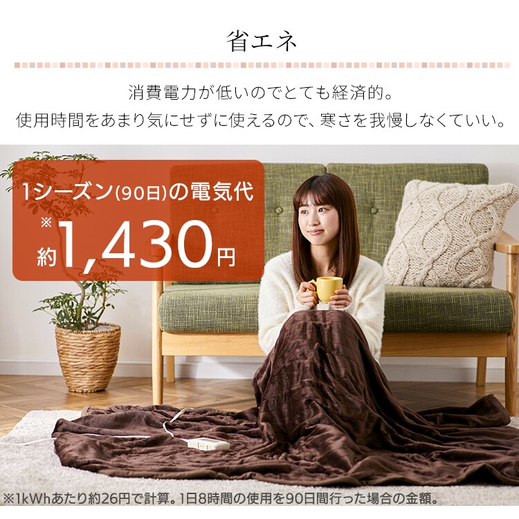 電気毛布 188×130 掛け敷きタイプ 省エネ室温センサー付 自動切タイマー付 EHB-F1813-DT 洗える フランネル素材 ダークブラウン6
