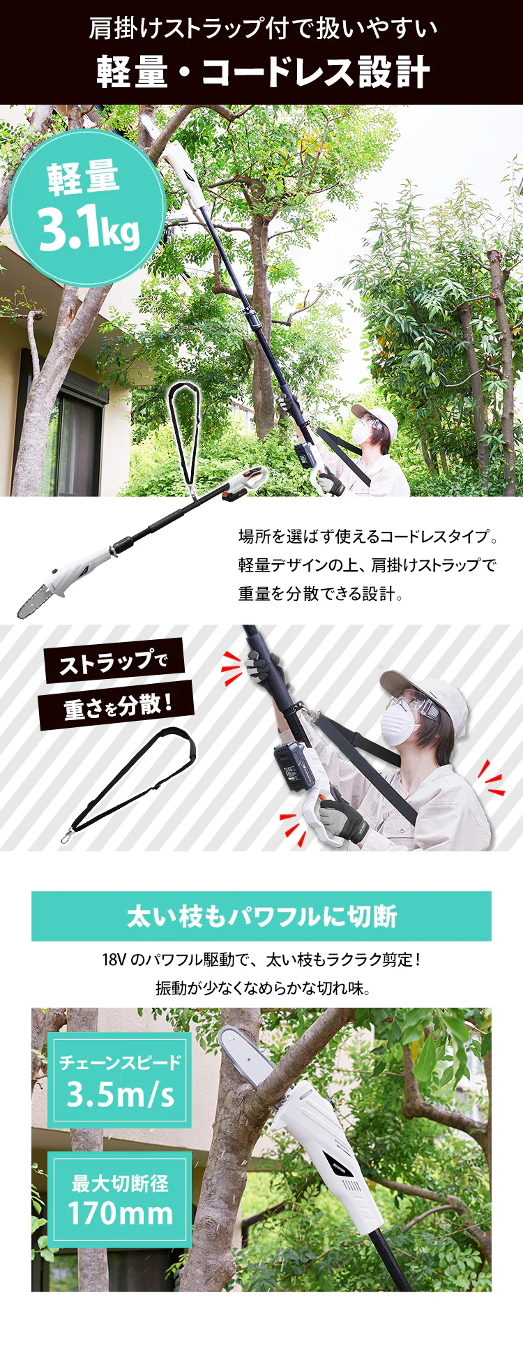 高枝バサミ 剪定 ポールチェーンソー 18V 充電式 バッテリー付き JPC15182