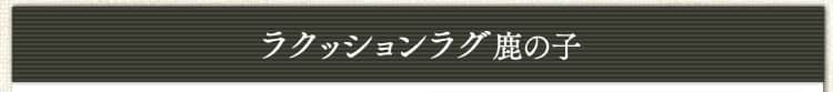 ���N�b�V�������O���E���h�^�C�v