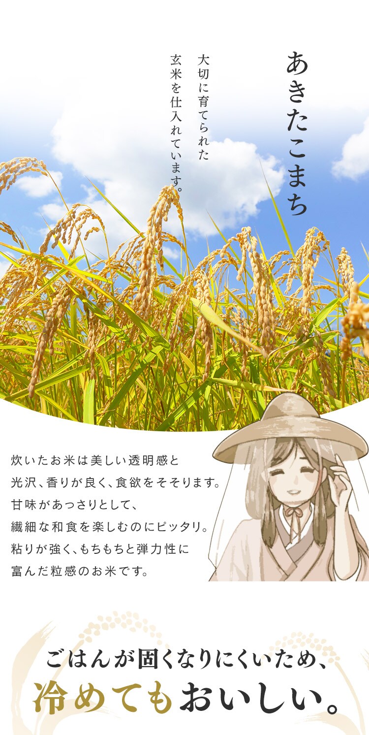 【訳あり】令和6年産 低温製法米 秋田県産 あきたこまち 10kg2
