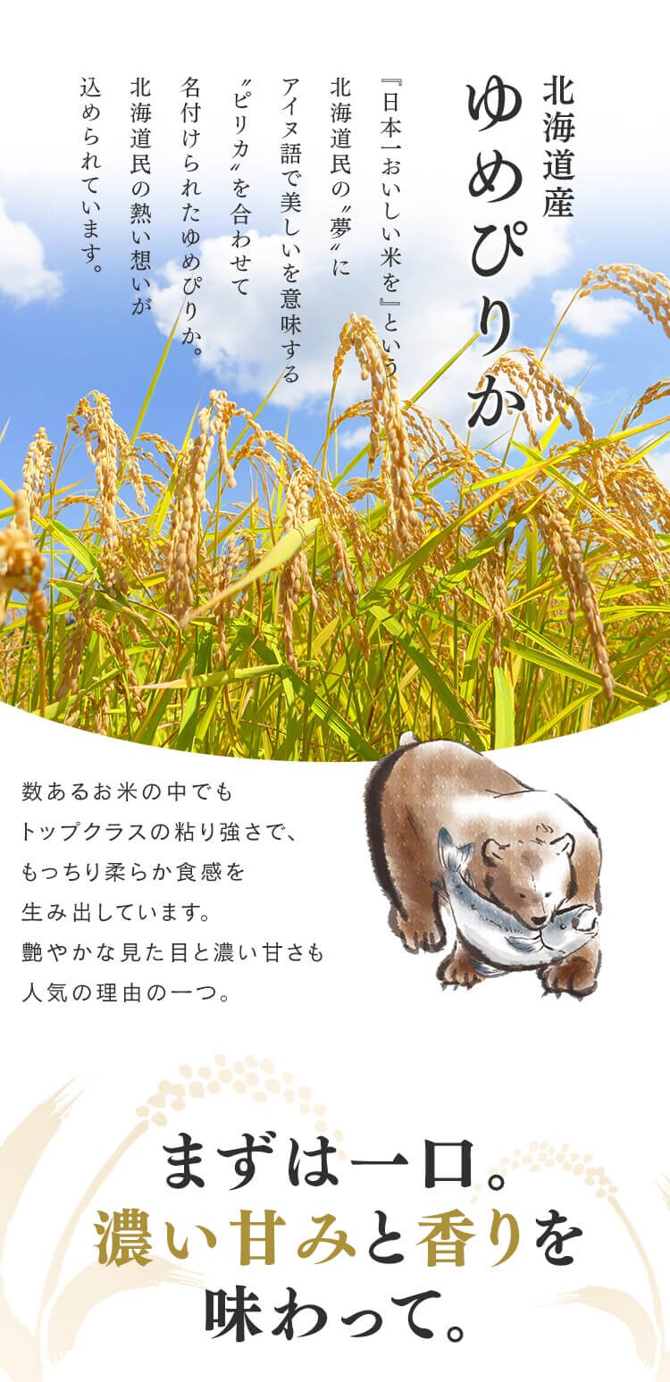 令和6年産低温製法米　北海道産ゆめぴりか　5kg2