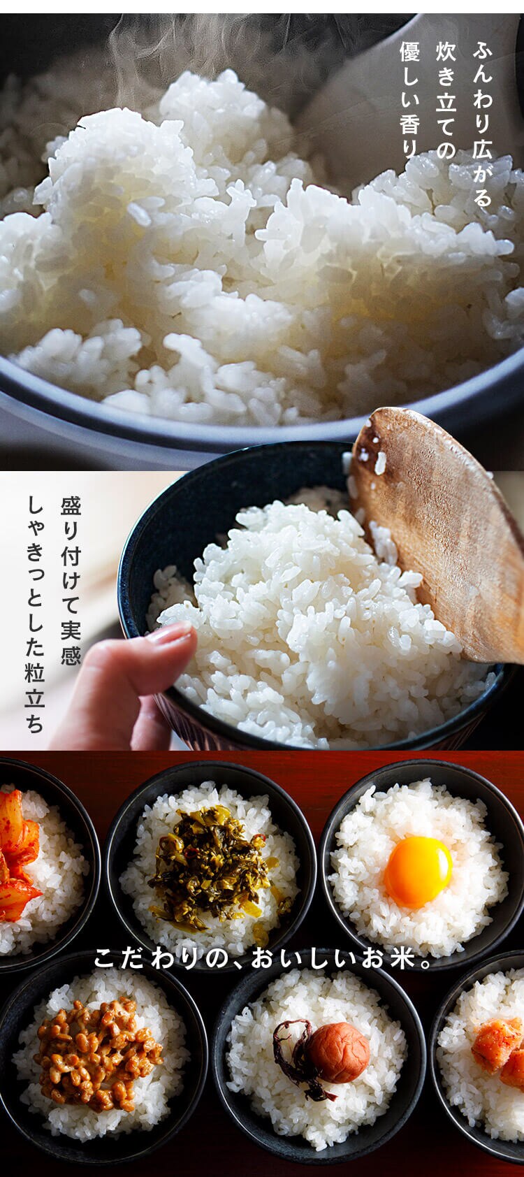令和7年産 米 北海道産 ななつぼし 1.5kg2