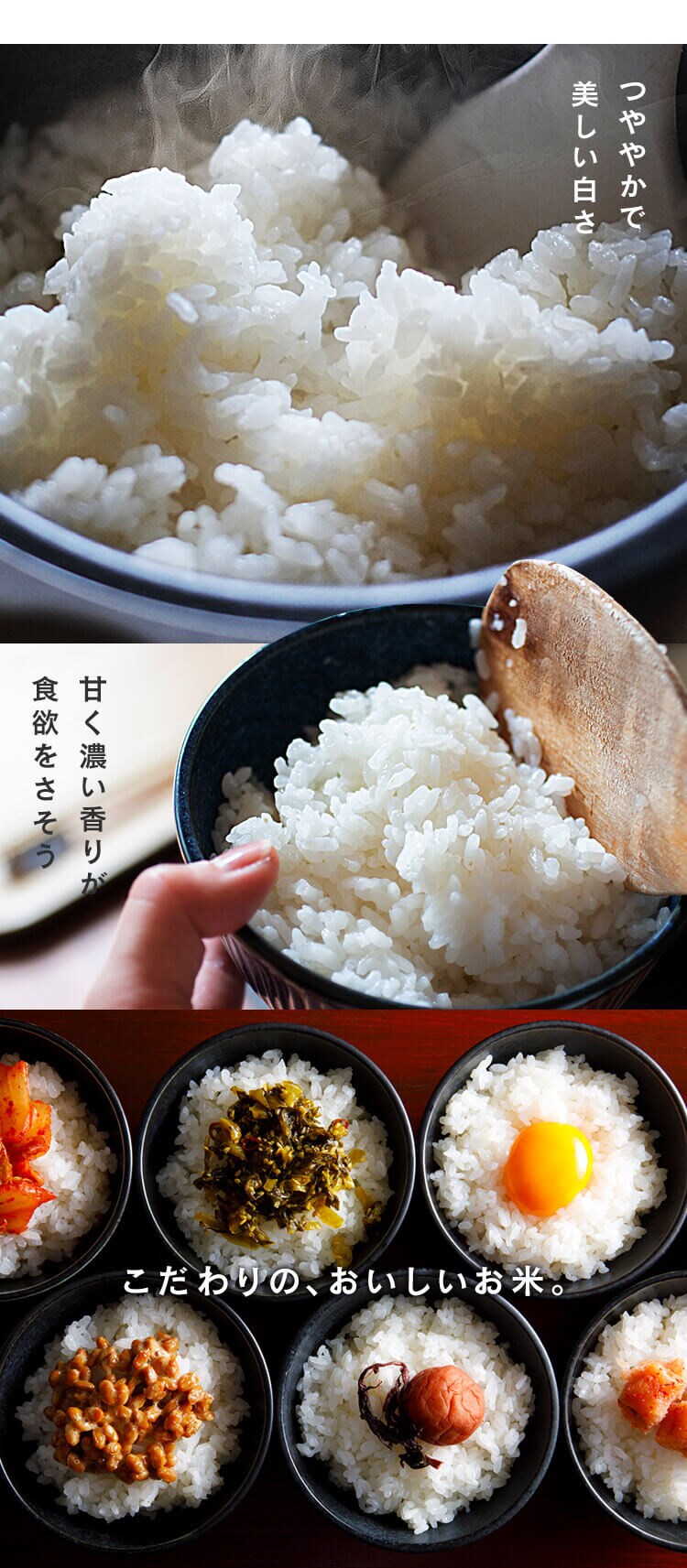 令和7年産 米 無洗米 北海道産 ゆめぴりか 1.5kg2