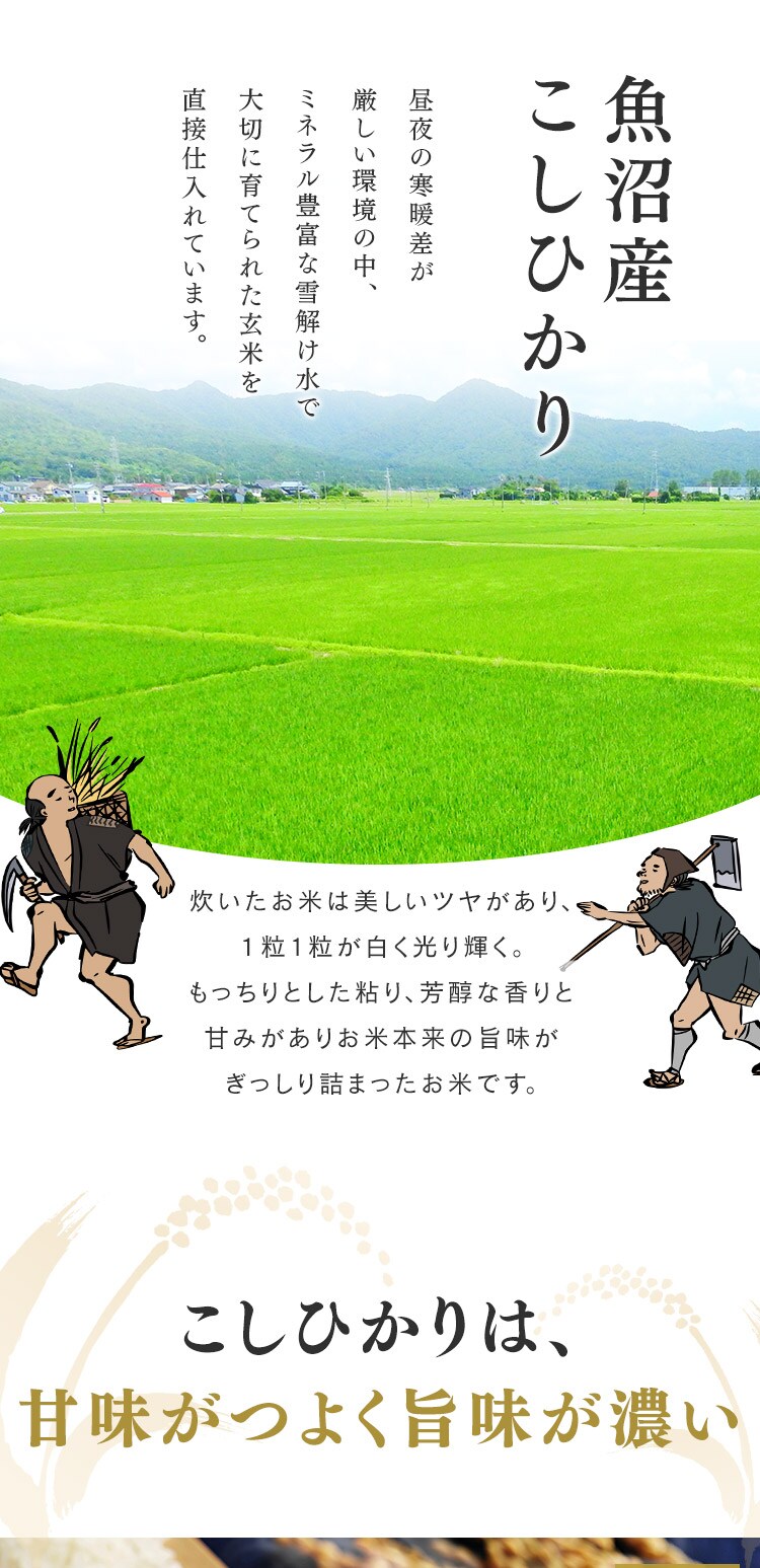 令和7年産 米 新潟県魚沼産 コシヒカリ 1.5kg3