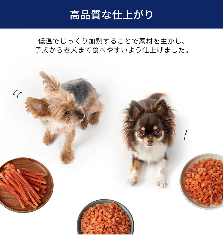 【6袋セット】まるごとささみジャーキー 100g やわらか プレーン P-IJ-S1004