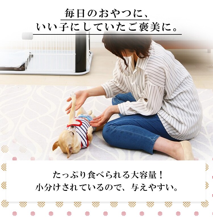 ささみ巻きジャーキーガム 80本 P-IJ-GMN80 犬 歯磨き デンタルケア2