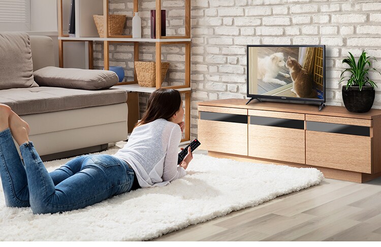 【訳あり】テレビ 24V型 LUCA LT-24B3202