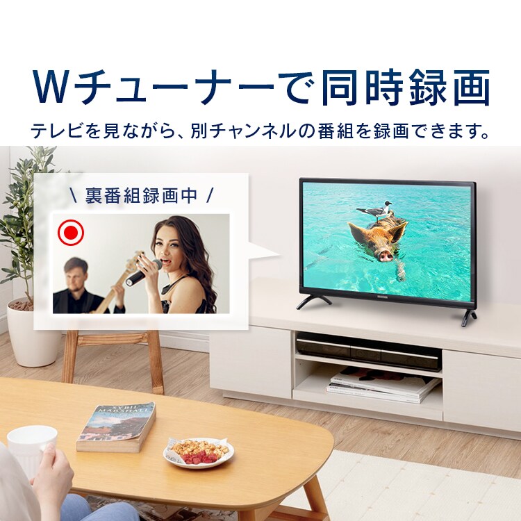 訳あり】テレビ 24V型 LUCA LT-24B320 H573919O │アイリスオーヤマ
