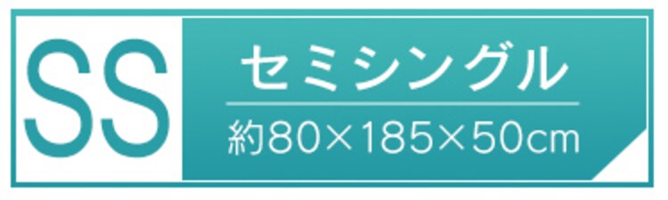 ベッド セミシングル 脚付きマットレス ポケットコイル 厚さ19cm AMT-P80 アッシュ18