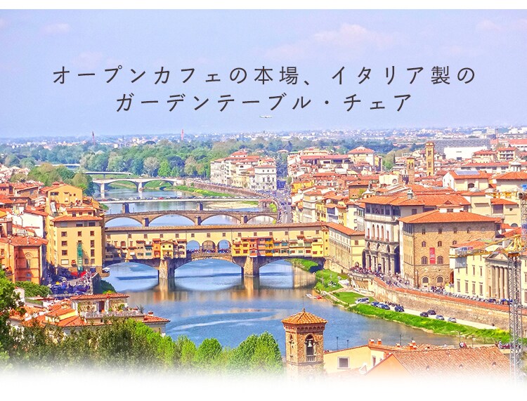 ステラ チェアー 肘付 全3色 1
