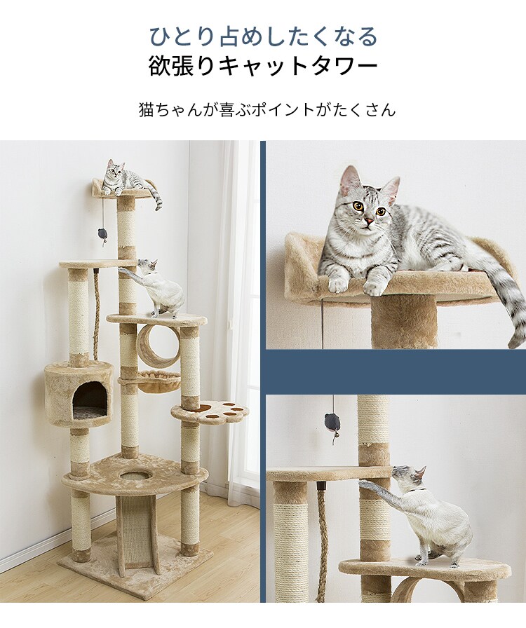 キャットランド 紐付き ベージュ1
