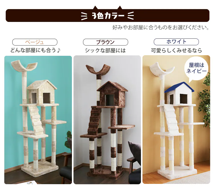 3色カラー