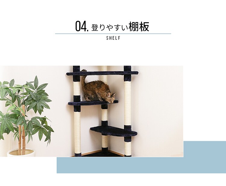 キャットタワー 突っ張り ベージュ 猫タワー5