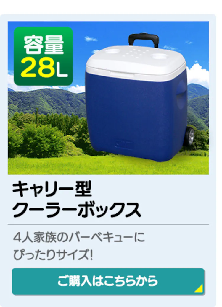 クーラーボックス 45L CB-G001-BL 11