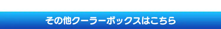クーラーボックス 45L CB-G001-BL 10