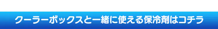 クーラーボックス 45L CB-G001-BL 13