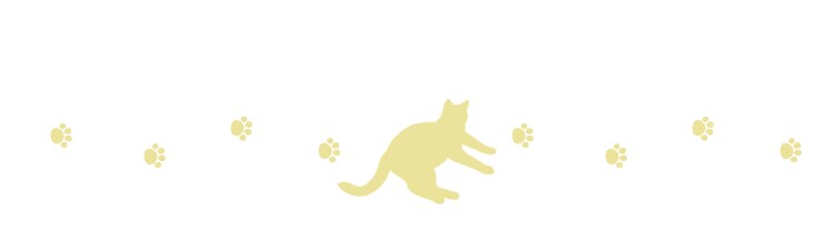 ボンビアルコン キャットポール ナチュラル 3