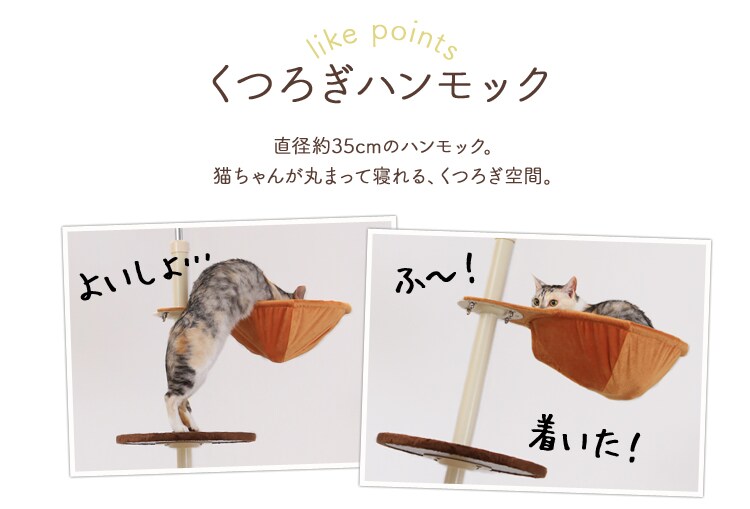 ボンビアルコン キャットポール ナチュラル 4