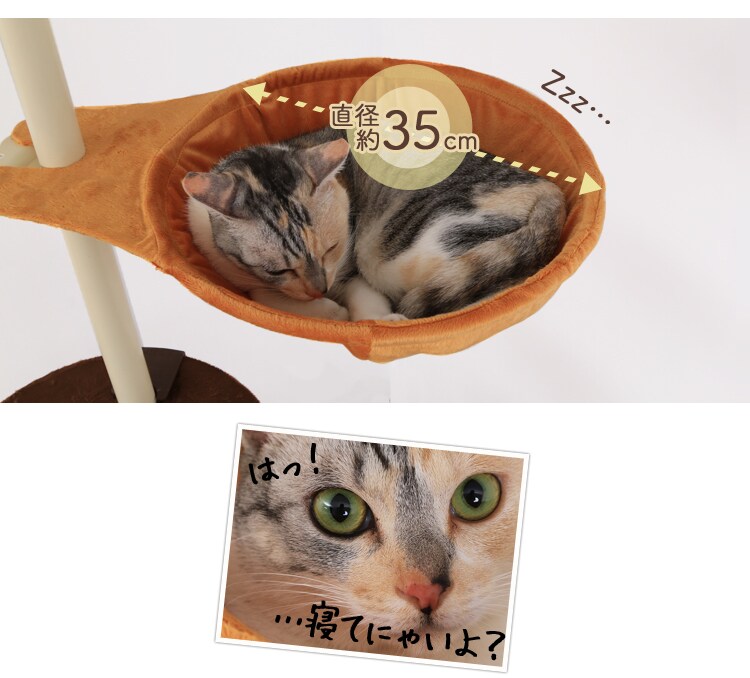 ボンビアルコン キャットポール ナチュラル 5