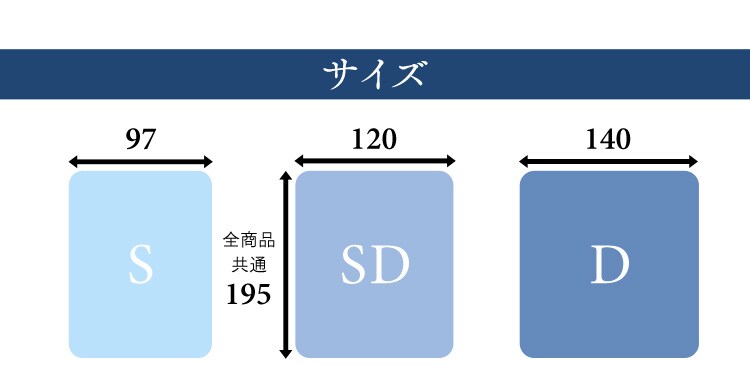 サイズ