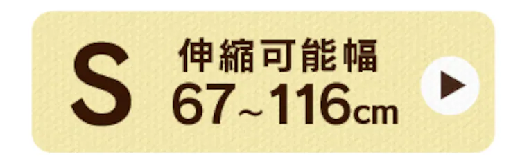 Sタイプ