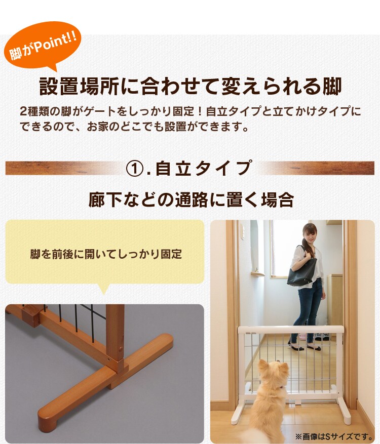 ①自立タイプ