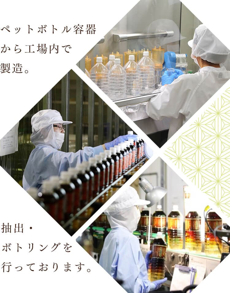 LDC お茶屋さんの緑茶・烏龍茶 500ml 48本 【代引き不可】 7132629F