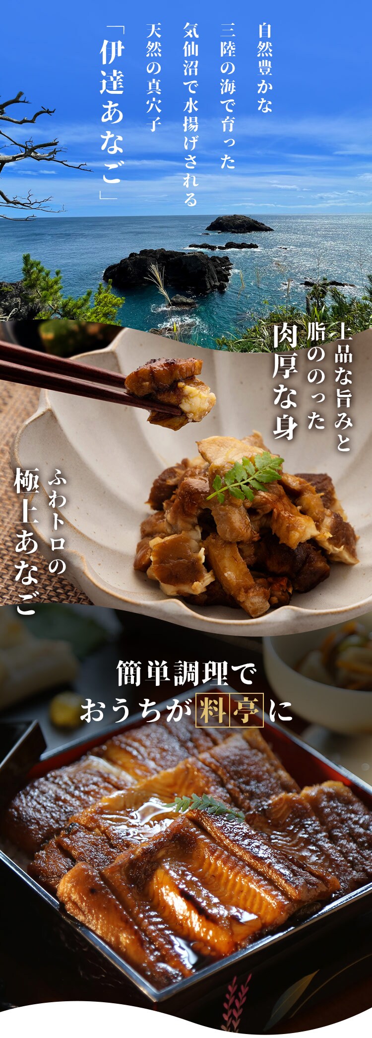 伊達あなごの煮穴子/トロ煮穴子70g 各1パック【代引き不可】8