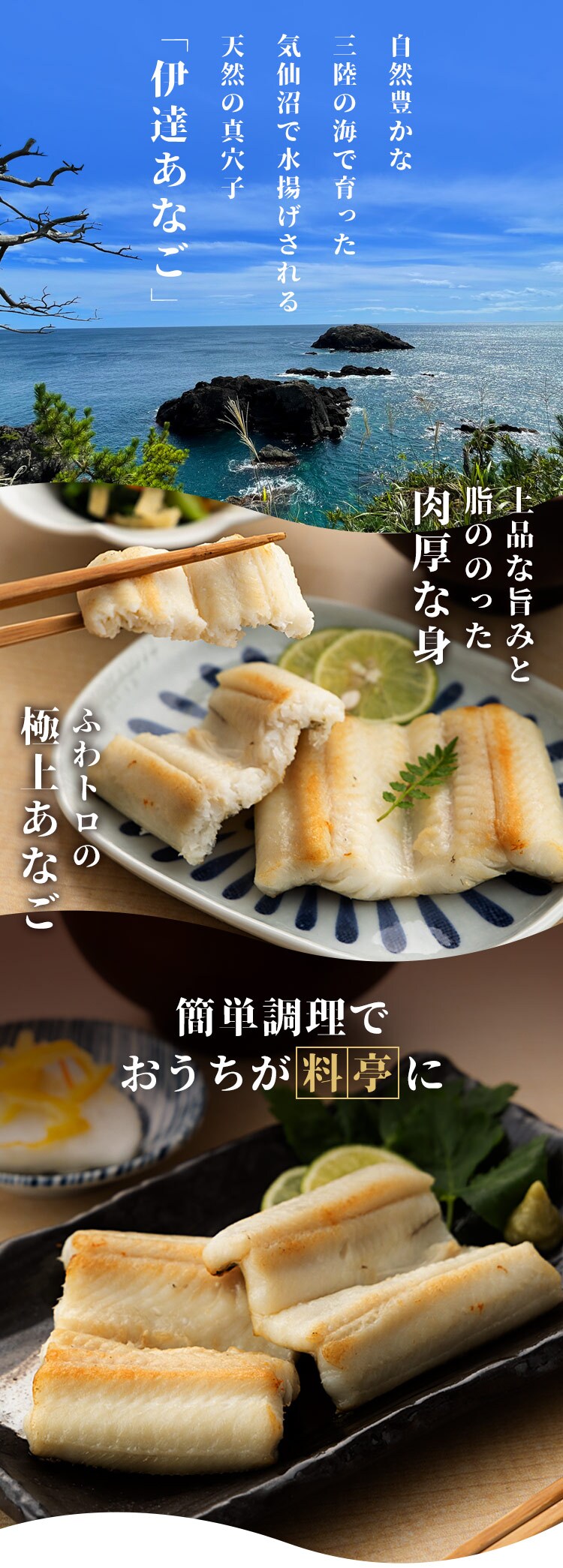 伊達あなごの一夜干し 140ｇ&times;2パック7