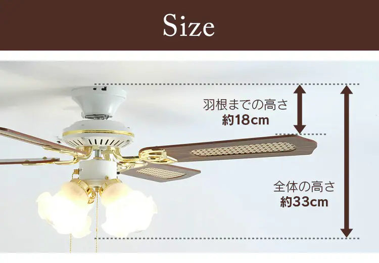 サイズ
