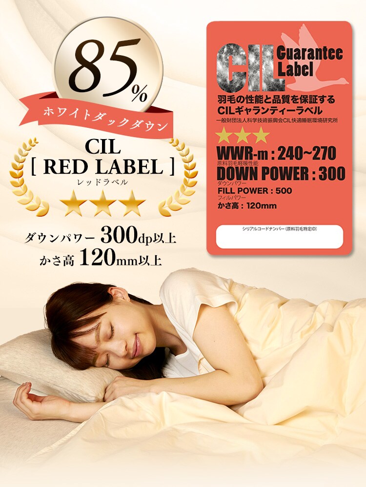 【2枚セット】ダウンケット ホワイトダックダウン85％ シングル 全4色9