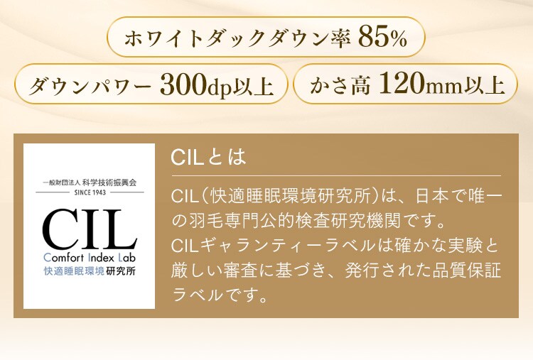 【2枚セット】ダウンケット ホワイトダックダウン85％ シングル 全4色12