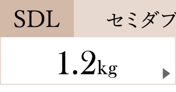 羽毛布団 ホワイトダックダウン90% 増量1.8kg キングロング PAA19RP 全6色19