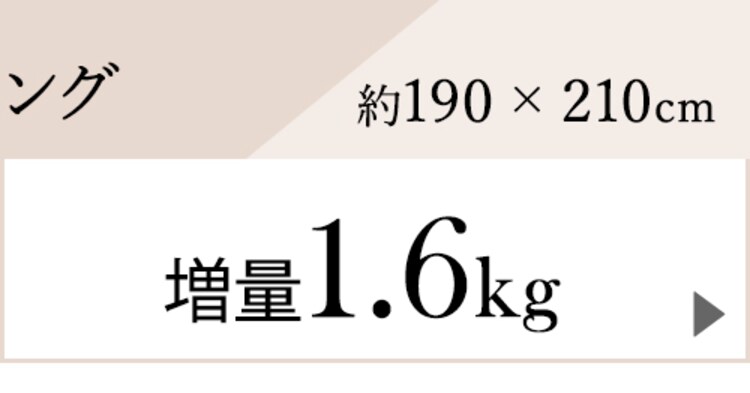羽毛布団ホワイトダックダウン90% 1.7kg キングロング PAA19RP ペイズリー/桃22