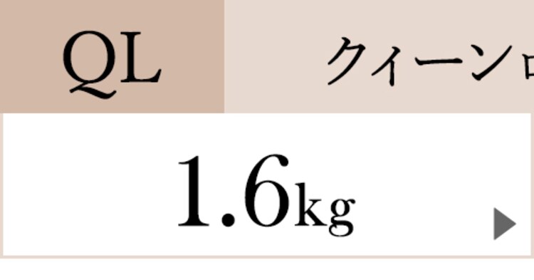 羽毛布団ホワイトダックダウン90% 1.7kg キングロング PAA19RP ペイズリー/桃23