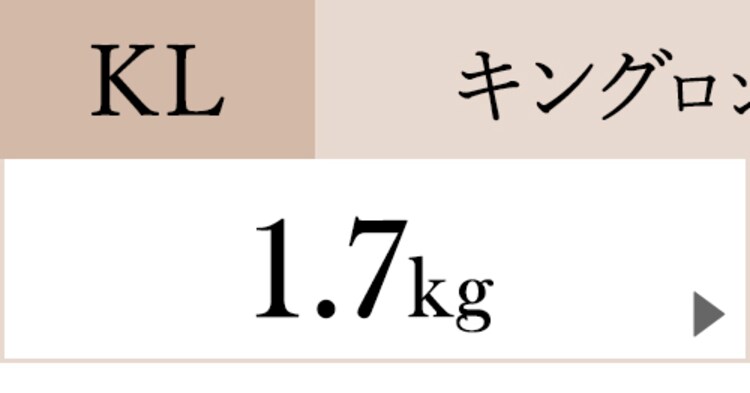 羽毛布団ホワイトダックダウン90% 1.7kg キングロング PAA19RP ペイズリー/桃25