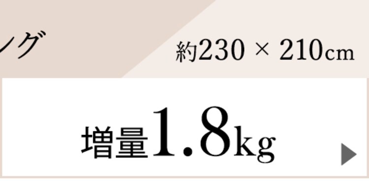 羽毛布団 ホワイトダックダウン90% 増量1.8kg キングロング PAA19RP 全6色26